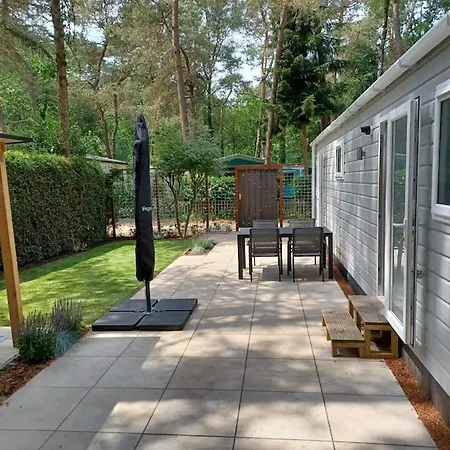 Boshuis Met Grote Tuin I Met Zwembad