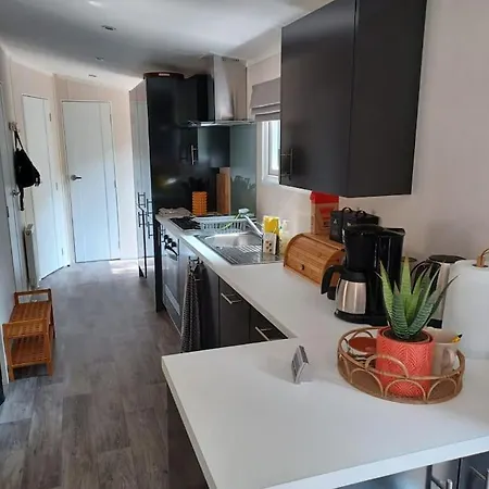 Boshuis Met Grote Tuin I Met Zwembad 度假居