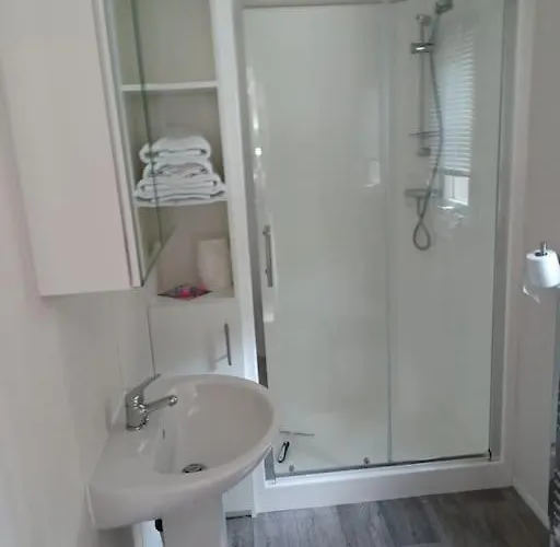 Boshuis Met Grote Tuin I Met Zwembad *