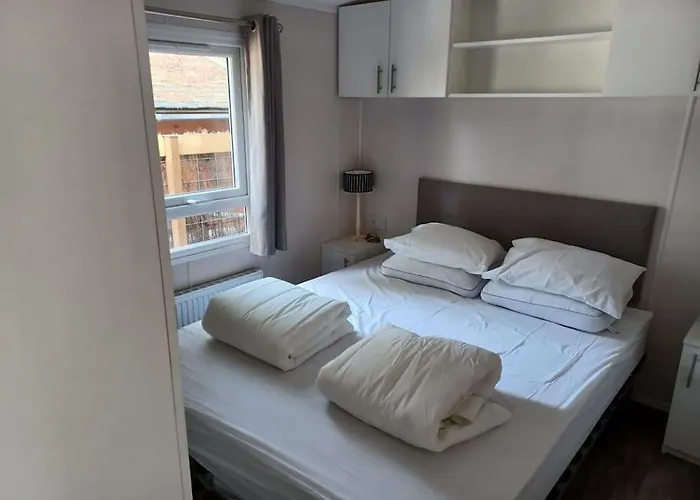 Boshuis Met Grote Tuin I Met Zwembad